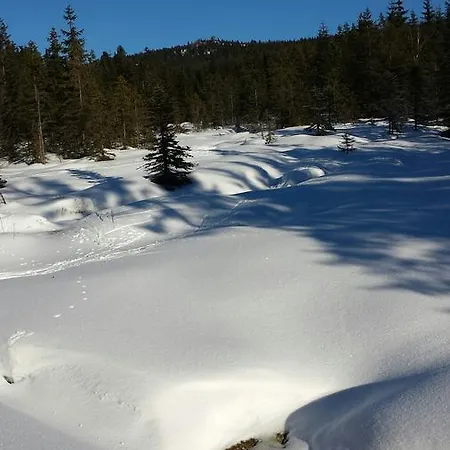 Natura Chalet *