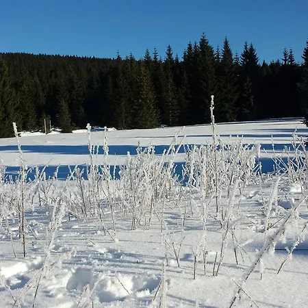 Natura Chalet Harrachov